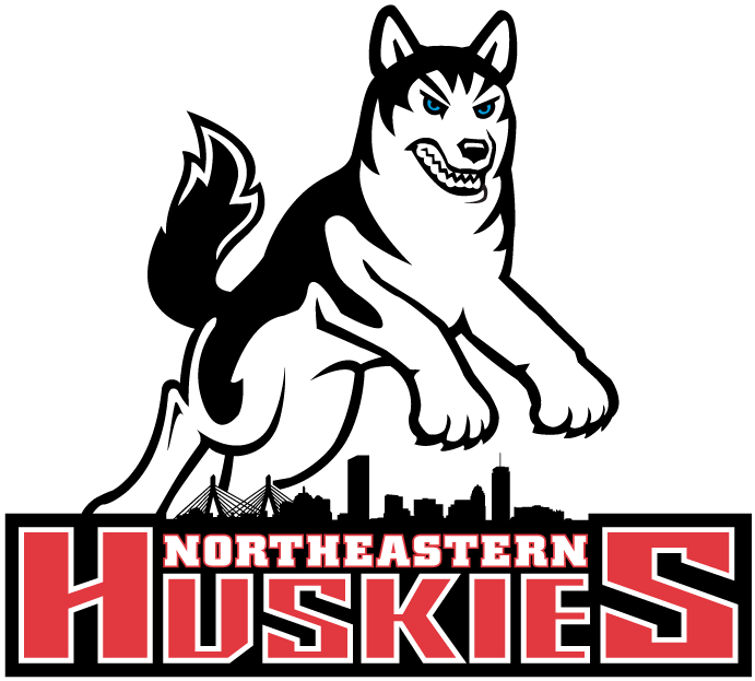 Northeastern Huskies 2001-2006 Primary Logo t shirts iron on transfers